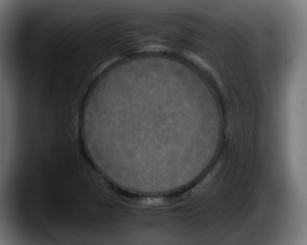 X0000087541313200705251712