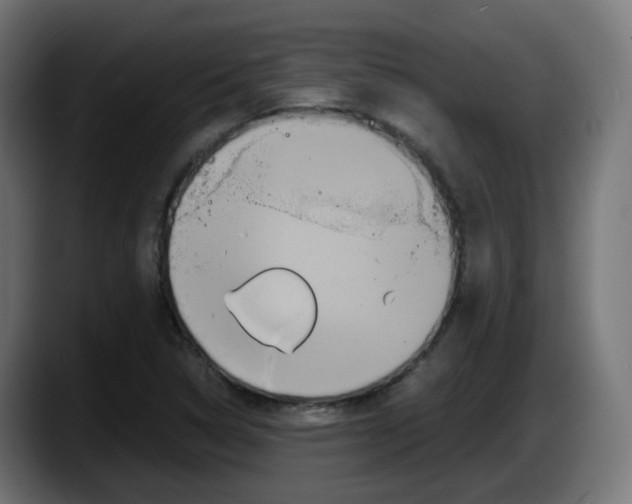 X0000087541314200705251712