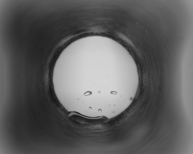 X0000087541315200705251712