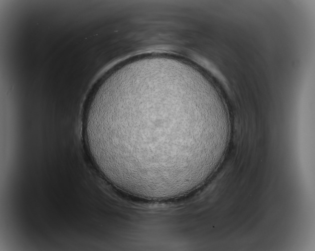 X0000087541316200705251712