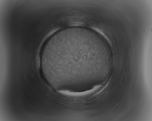 X0000087541317200705251712