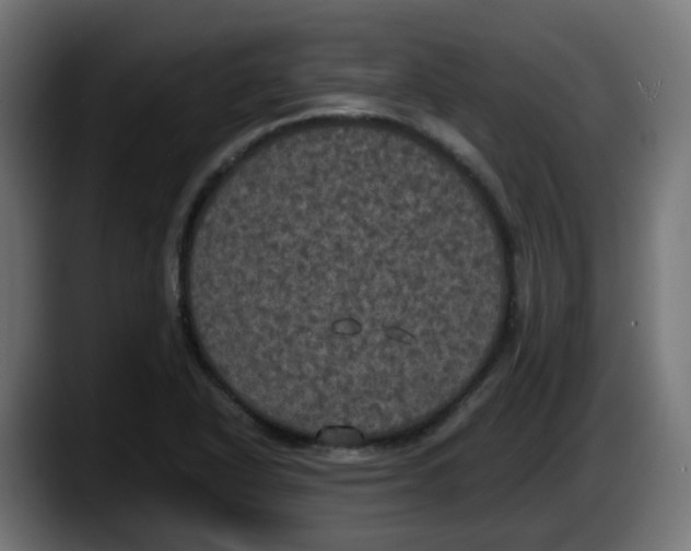 X0000087541318200705251712