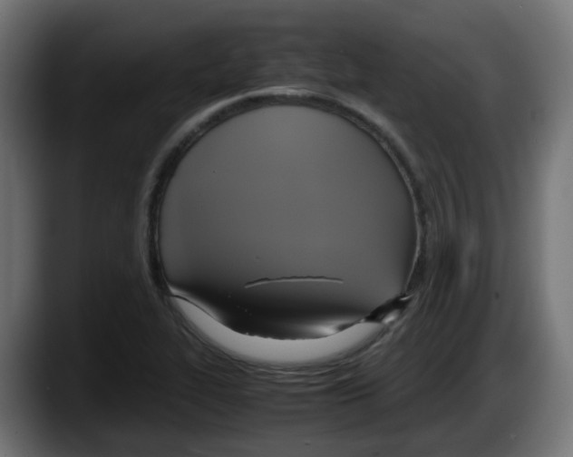 X0000087541319200705251712