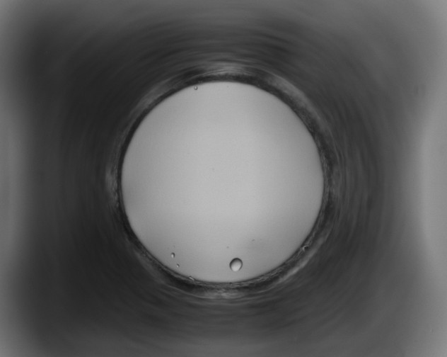 X0000087541321200705251712