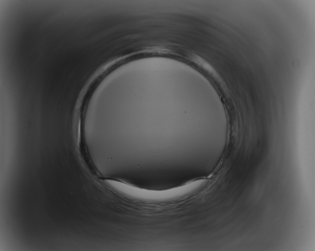 X0000087541323200705251712