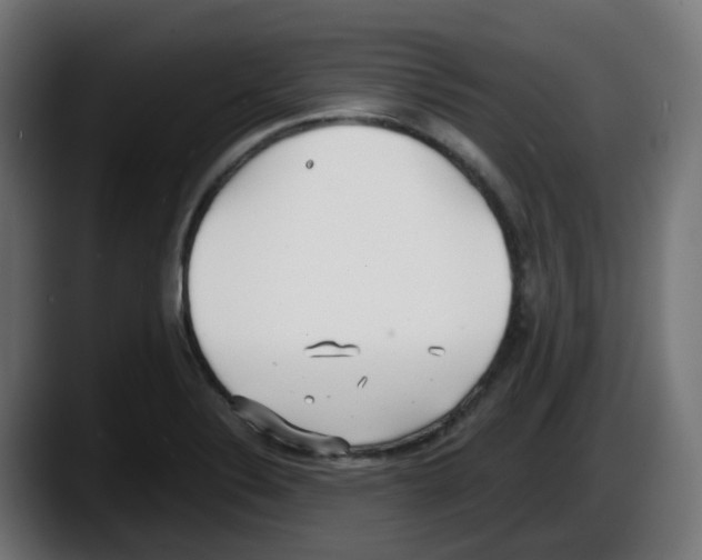 X0000087541324200705251712