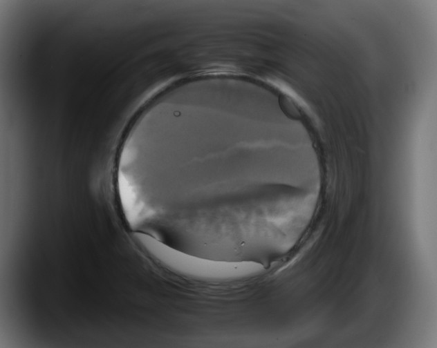 X0000087541325200705251712