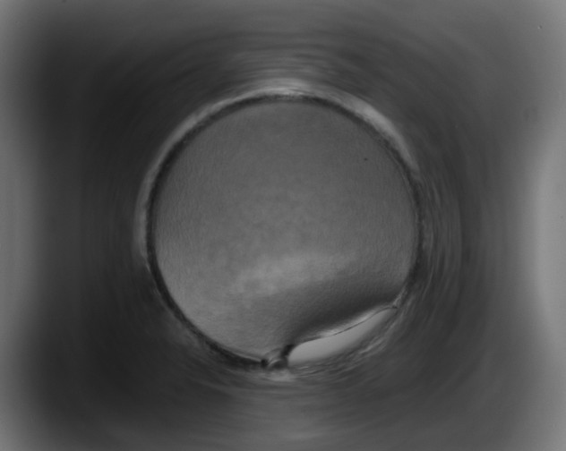 X0000087541326200705251712