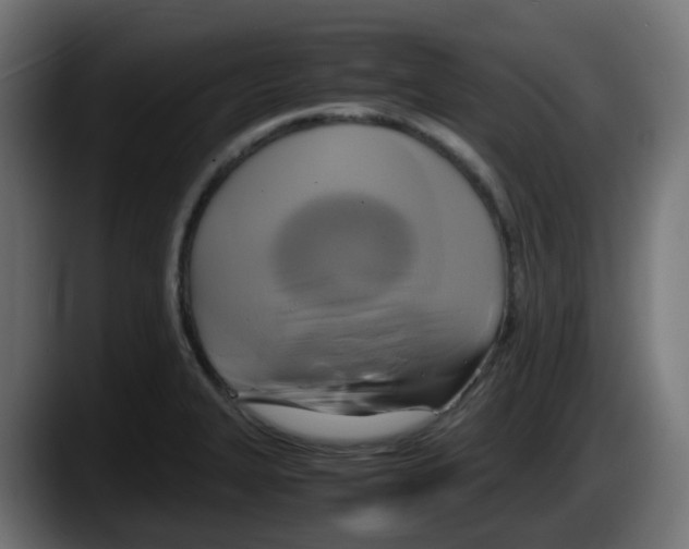 X0000087541327200705251712