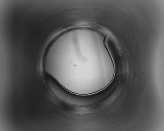 X0000087541328200705251712