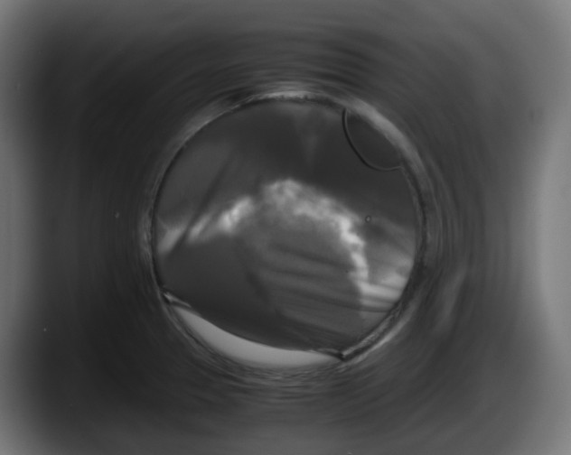 X0000087541329200705251712