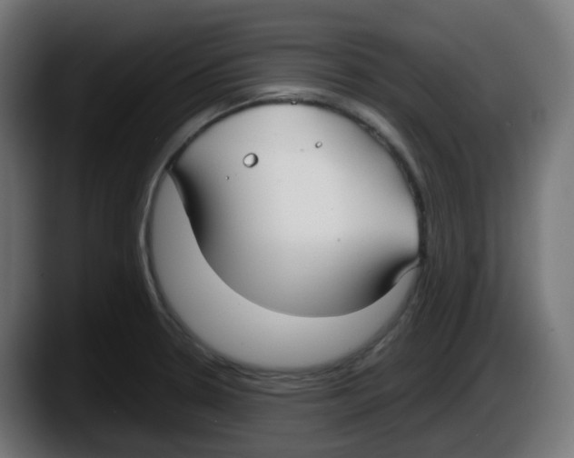 X0000087541330200705251712