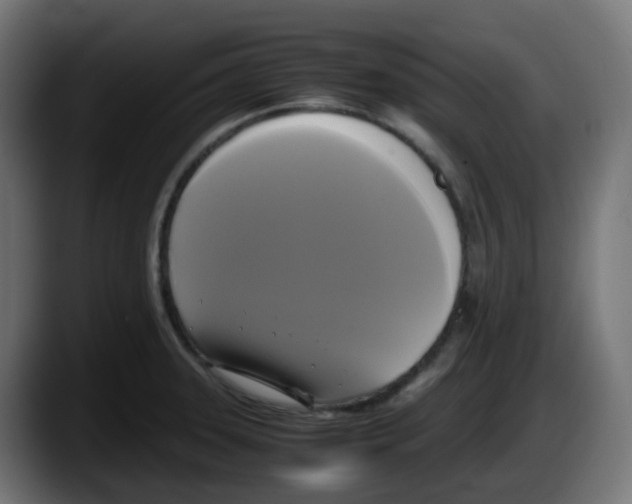 X0000087541331200705251712