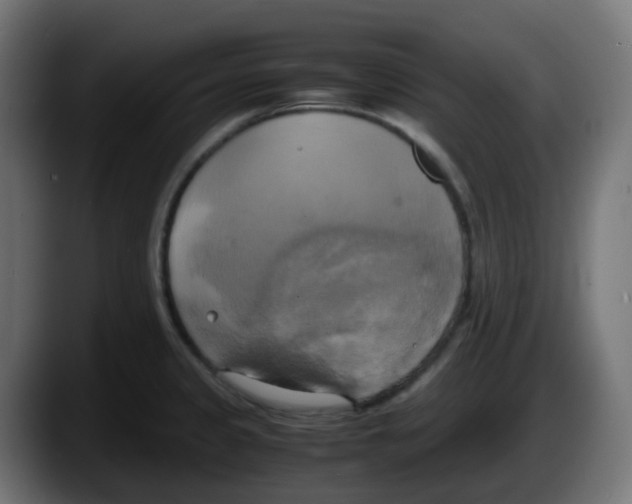 X0000087541333200705251712