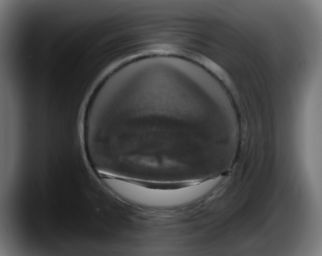 X0000087541334200705251712