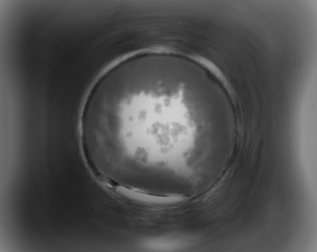 X0000087541335200705251712