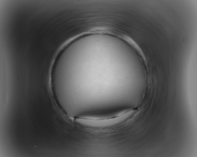 X0000087541336200705251712