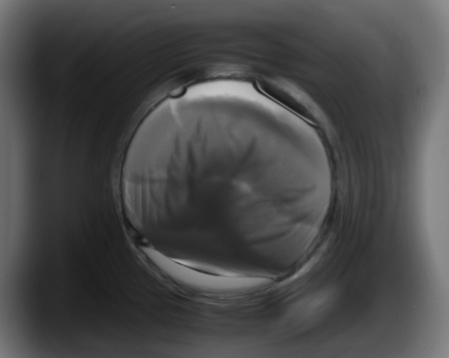 X0000087541337200705251712