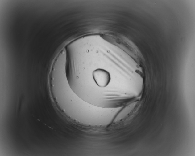 X0000087541338200705251712