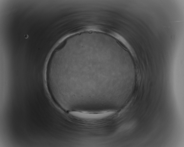 X0000087541339200705251712