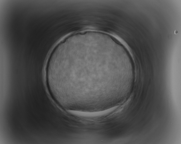 X0000087541341200705251712