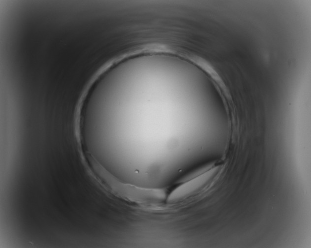 X0000087541342200705251712