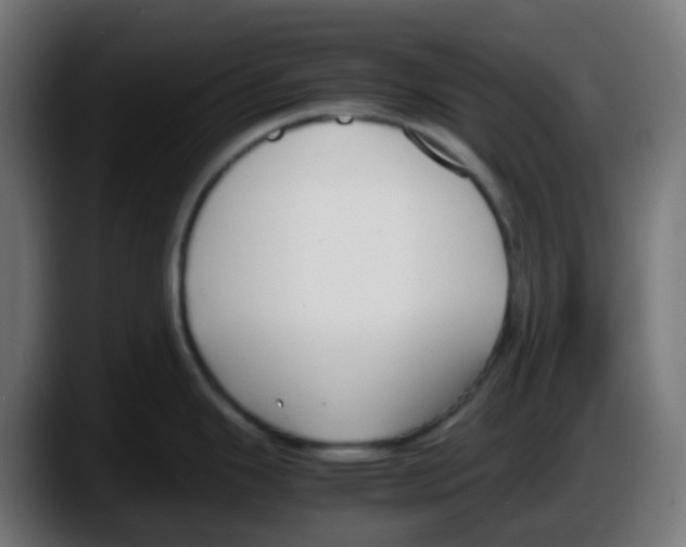 X0000087541343200705251712