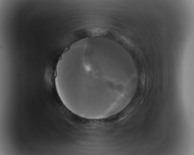 X0000087541346200705251711