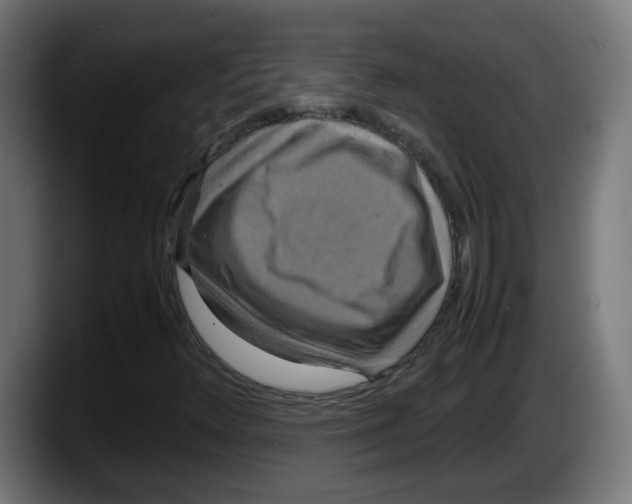 X0000087541348200705251711