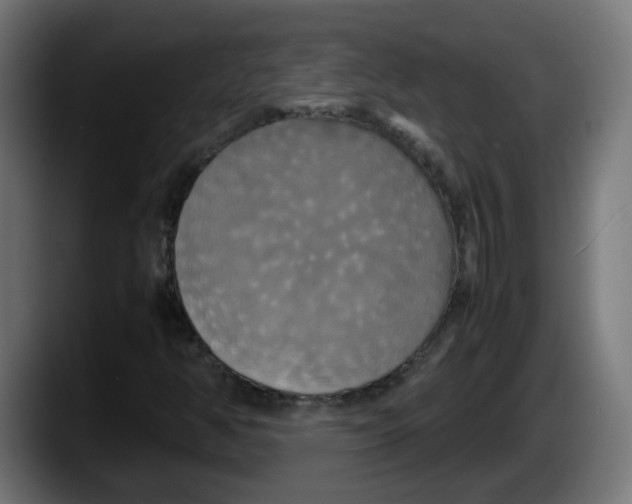 X0000087541350200705251711