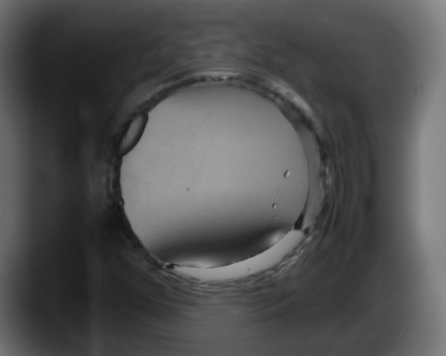 X0000087541352200705251711