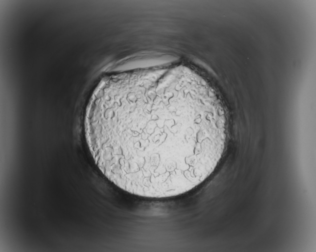 X0000087541355200705251711