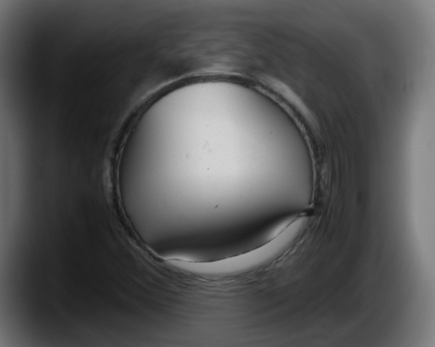 X0000087541356200705251711