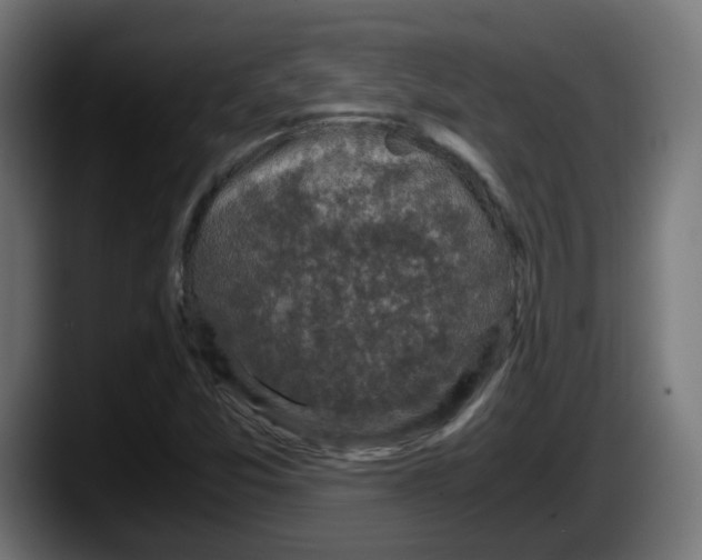 X0000087541357200705251711