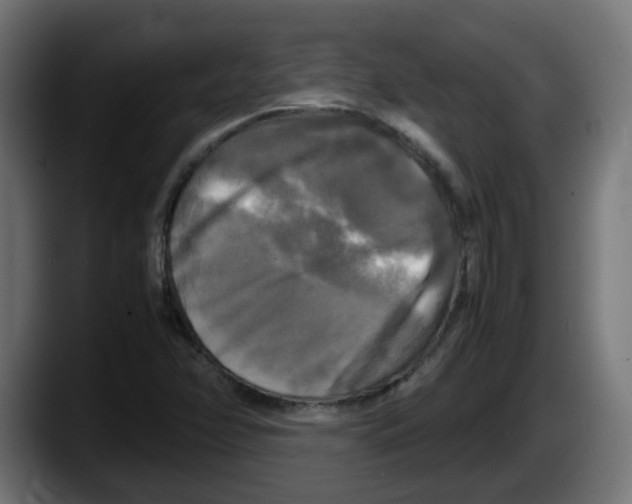 X0000087541358200705251711