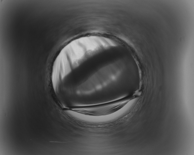 X0000087541359200705251711