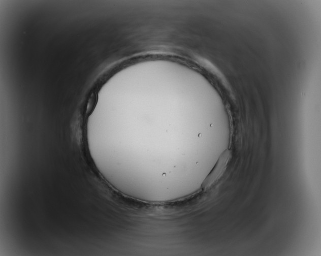 X0000087541360200705251711