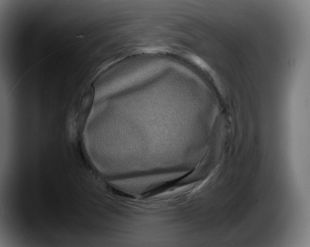 X0000087541361200705251711