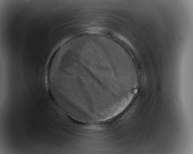 X0000087541362200705251711