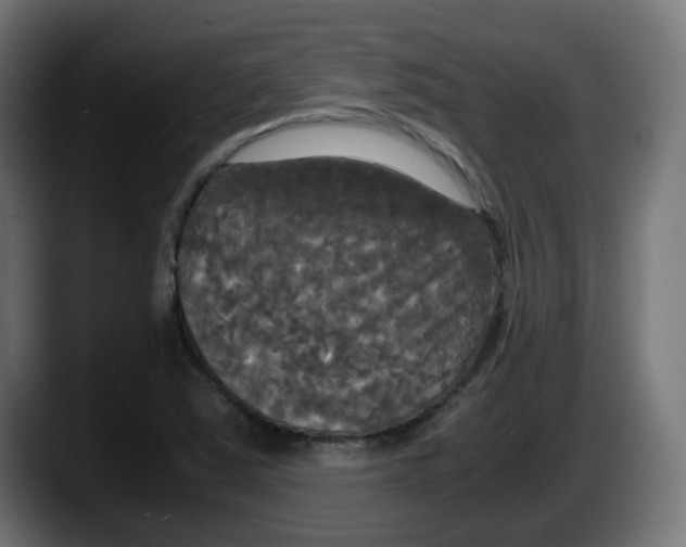 X0000087541363200705251711