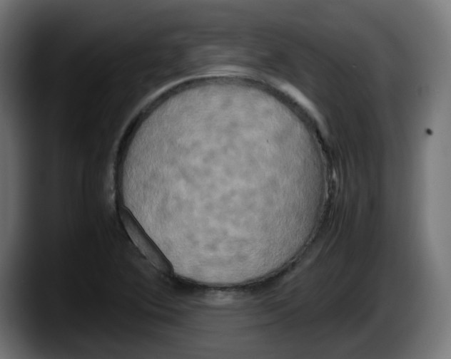 X0000087541364200705251711