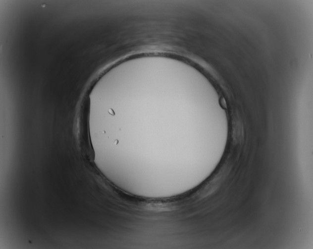 X0000087541366200705251711