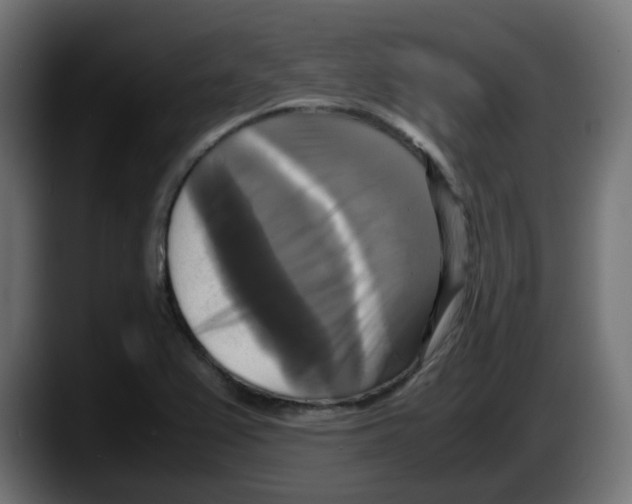 X0000087541367200705251711