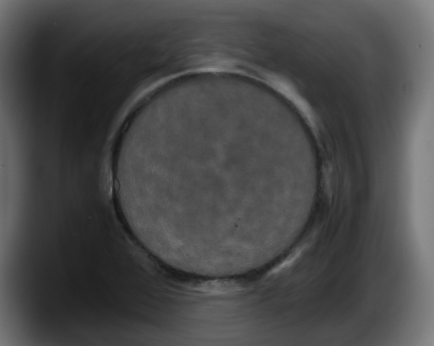 X0000087541368200705251711