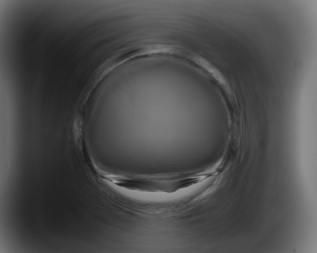 X0000087541369200705251711