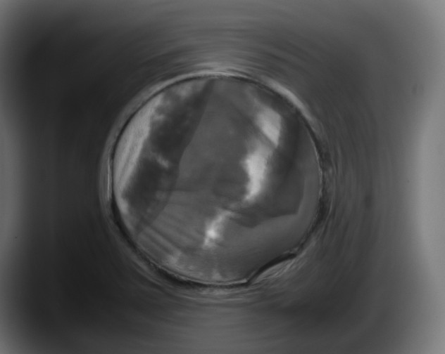 X0000087541371200705251711