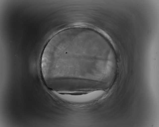 X0000087541373200705251711