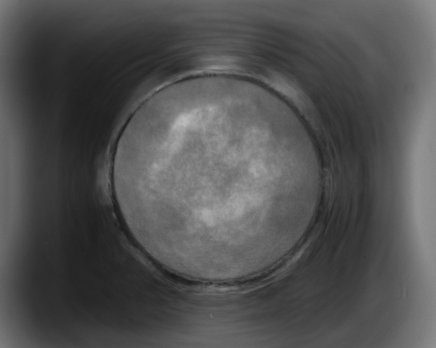 X0000087541374200705251711