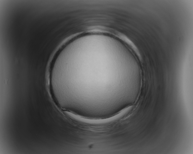 X0000087541376200705251711