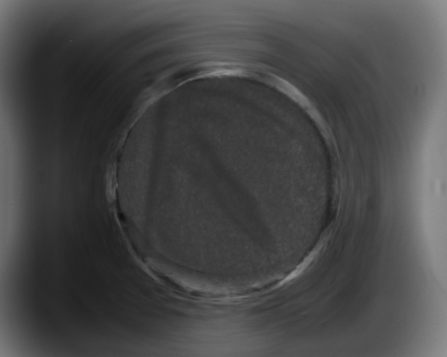 X0000087541377200705251711